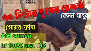 aci ag hf 100 usa Thomas 105 | এসি আই ৭০ লিটার দুধের গরু