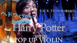 Harry Potter“Hedwig’s Theme” 映画ハリーポッターヘドウィグのテーマ ヴァイオリンカバー#backtohogwarts