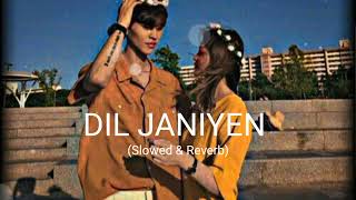 Dil Janiye Mainu Ji Len De (Slowed + Reverb) | Music