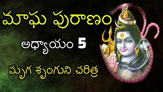 Magha Puranam in Telugu - Chapter 5 | మాఘ పురాణం - అధ్యాయం 5 | Magha Masam Mahatmyam Katha in Telugu