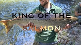 Chinook Salmon Fishing- Salmon River Idaho