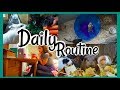 NEW DAILY ROUTINE (the pets and me)