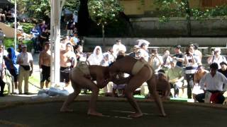 全日本学生相撲個人体重別選手権大会85キロ未満級