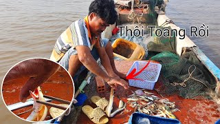 Thuyền Trưởng ĐỔ M.Á.U khi bị con cá này cắn không nhả | Ngư Dân Miền Tây #194