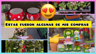 Buscando más Suculentas/Tiendas de Plantas/Maceteros en Virginia🙄🤔😡