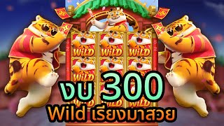 สล็อต สล็อตเว็บตรง สล็อตแตกง่าย : สล็อตเสือ งบ 300 Wild เรียงมาสวย