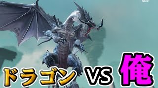 最強にかっこいいドラゴンVS俺【リネージュ2 レボリューション】