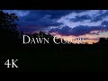 Dawn Colors - Serene Nature at Dawn, Ambience with Birdsong & Nature Sounds, 10 Hours, 4K UHD