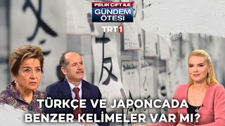 Türkçe ve Japonca'da benzer kelimeler var mı? | @gundemotesi 392. Bölüm