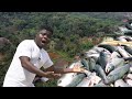 How A Young Man Moved From South Africa To Established Biggest Fish Farm In Congo