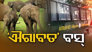 Idea Behind Launch Of Airavat Bus Service In Dhenkanal