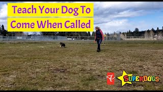 SuperDogs | Teach Your Dog To Come When Called | Dog Training