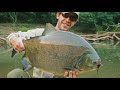 10 River Monsters Caught in the Amazon