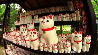 Lucky Cats 招き猫 豪徳寺