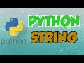 Python String Tutorial #3 | startswith(),endswith() & split()