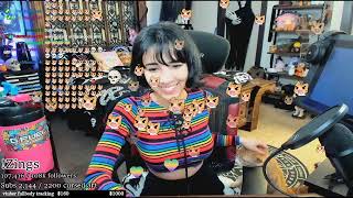 Cat Takes Over Susu's Stream