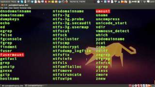 the bin directory in linux - "/bin/" - the linux file system