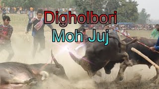 #Digholbori Moh Juj# Morigaon,Assam#Buffalo Fight.