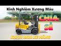 Bí Quyết Mua Xe Nâng Chất Lượng – Kinh Nghiệm Xương Máu Từ Những Người Đi Trước #anpvietnam