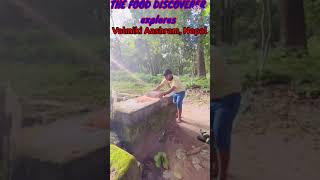 Nepal Tour | Valmiki Nagar Tiger Reserve | Valmiki Aashram | वाल्मीकि नगर | #nepal #shorts #sitaram