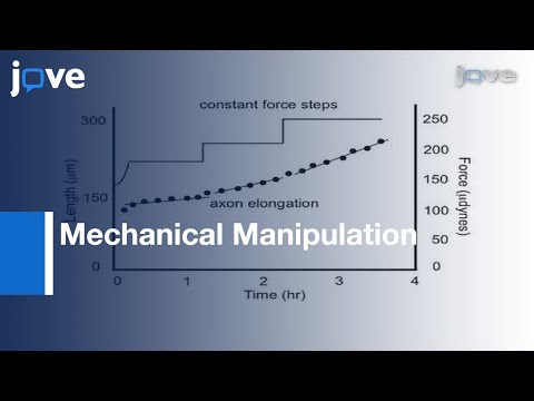 What is mechanical manipulation?