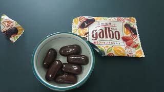 Galbo. Strange textured Japanese fibre containing chocolate snack. アーモンドカカオガルボ　　