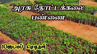 மாதவரம் அரசு தோட்டக்கலை பண்ணை 🌱 Madhavaram Government Nursery Visit #madhavaram #Nurseryvisit