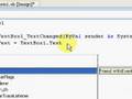 Visual Basic 2008 Tutorial - Cool Password Form