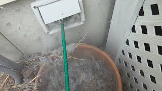 Got Lint? Trying to spread awareness to people not cleaning or having there Dryervents cleaned!!