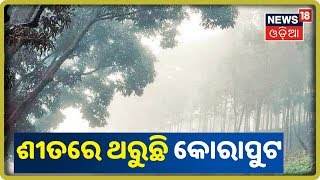 Weather News: Koraputରେ ପୁଣି ଥରାଇଲା ଜାଡ