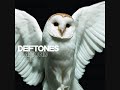 deftones risk