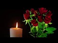 Valentine Background | Burning Candle & Bouquet of Red Roses  | Relaxing and Romantic | 10 Hours
