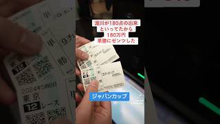 有名競馬予想家の渾身の予想に単勝180万円ぶちこんできた #ジャパンカップ #競馬 #瀧川