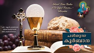 23 JULY  2022 - 04.00PM ||  LIVE  || VALLARPADAM BASILICA || ദിവ്യബലി ||  നൊവേന  ||