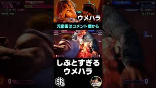 【スト6】しぶとすぎるウメハラ ウメハラケン【STREET FIGHTER 6】