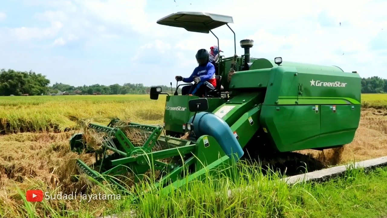 MESIN PANEN PADI GREENSTAR BESAR MEMANEN LAHAN PADI ROBOH - YouTube