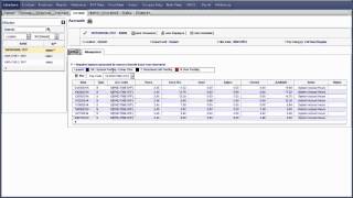 Workforce Time Editing an Employee Accrual Balance