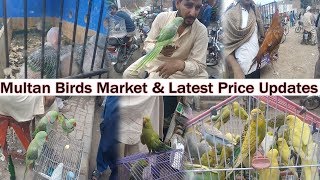 Multan Sunday Birds Market 24 March 2019 Latest Price Updates 24-02-2019