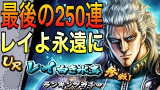 レイガチャ第2弾！天井まで最後の250連！天井までに自力で当てれるのか⁉︎【北斗の拳リバイヴ】【北斗の拳レジェンズリバイヴ】