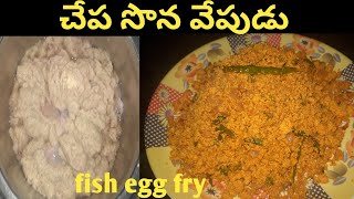 చేప సొన వేపుడు|fish egg fry|fish egg fry in telugu |చేప జన వేపుడు| village style fish egg fry