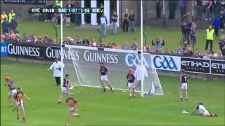 Top 10 Hurling Goals 2009 | Eddie Brennan