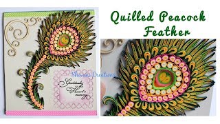 How to make Quilled Peacock Feather/ Quilling Bird Feather