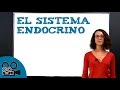 El sistema endocrino