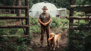 Planting 300 Potatoes in the Forest, Early June Forest Garden Tour