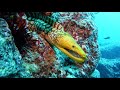 scuba diving lanzarote playa blanca canary islands spain gopro 1080p 60fps