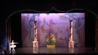 San Elijo Dance Academy Nutcracker 2023 Act 2 MAH00016