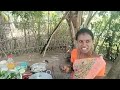 எனது மதிய Routine Vlog / Gramathu Marumagal Priya