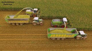 Fendt Katana VS. Claas Jaguar / Wintmolders / Mais 2019 / Maize / Corn Harvest / Fendt / Maïs 2019