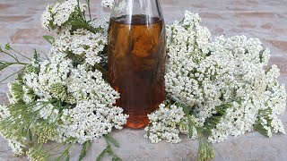 Yarrow Tincture, - the healthiest drops in the world