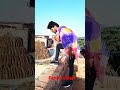 mujhe pasand karne wale hajaro log hai bhai#fannyvideo#short#viral#comedy